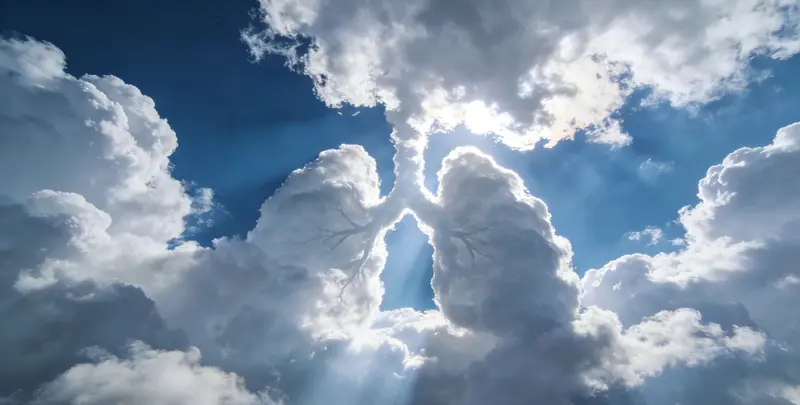 绥化肺癌靶向39基因检测（组织）图片1