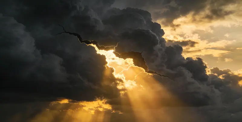 绥化肺癌8基因突变检测（组织）图片1