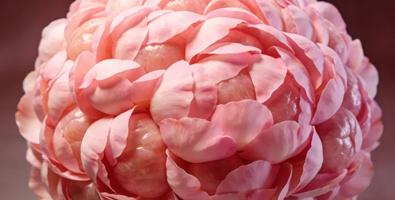 绥化BRCA1/2乳腺癌卵巢癌基因检测图片1